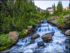 Mech, Park Narodowy Glacier, Wodospad, Rośliny, Montana, Kamienie, Drzewa, Stany Zjednoczone