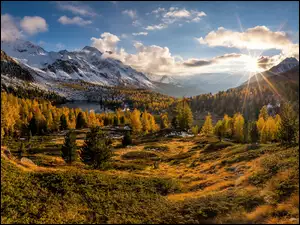 Las, Roślinność, Dolina, Promienie, Góry, Valle di Campo, Drzewa, Jesień, Słońca, Alpy, Szwajcaria