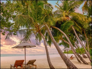 Pochylone palmy na plaży na Malediwach