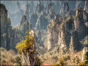 Zhangjiajie National Forest Park w Zhangjiajie