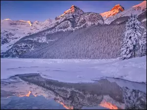 Drzewa, Jezioro, Park Narodowy Banff, Lake Louise, Góry, Alberta, Zamarznięte, Zima, Odbicie, Ośnieżone, Kanada