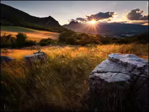 Kamienie i pożółkła trawa w blasku zachodzącego słońca