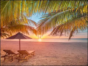 Morze, Plaża, Zachód słońca, Malediwy, Parasol, Leżaki, Palmy
