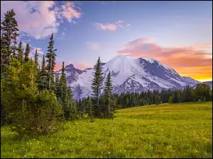 Szczyt Mount Rainier, Park Narodowy Mount Rainier, Chmury, Stan Waszyngton, Drzewa, Góra, Stany Zjednoczone, Łąka