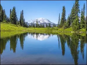 Tipsoo Lake, Góry, Stany Zjednoczone, Jezioro, Stan Waszyngton, Drzewa Park Narodowy Mount Rainier, Odbicie