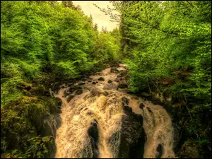 Drzewa, Las, Black Linn Falls, Szkocja, Wodospad, Rzeka Braan