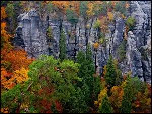 Jesienny krajobraz Parku Narodowego Saskiej Szwajcarii