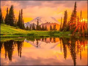 Promienie słońca, Stratowulkan Mount Rainier, Odbicie, Stany Zjednoczone, Drzewa, Jezioro, Tipsoo Lake, Zachód słońca, Waszyngton