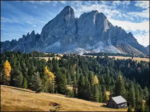 Góra Peitlerkofel, Dolomity, Włochy, Góry, Szopa, Drewniana, Drzewa