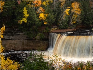Drzewa, Jesień, Tahquamenon Falls, Stany Zjednoczone, Wodospad, Stan Michigan