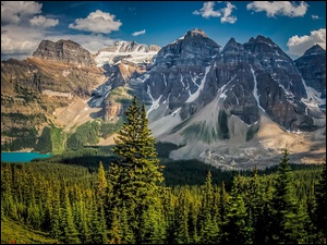 Park Narodowy Banff, Las, Jezioro Moraine, Prowincja Alberta, Drzewa, Dolina Dziesięciu Szczytów, Kanada, Kanadyjskie Góry Skaliste