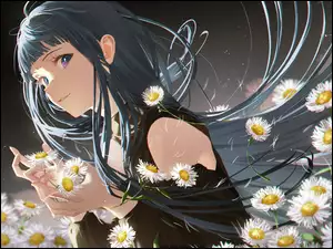 Rumianki, Manga Anime, Dziewczyna, Kwiaty
