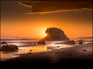 Skały i fale na kamienistym brzegu morza o zachodzie słońca