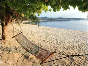 Plaża, Drzewa, Filipiny, Morze, Ticao Island, Wyspa, Hamak