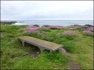 Widok z kamiennej ławki na wybrzeże