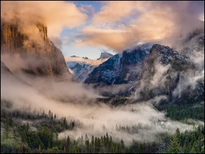 Mgła, Drzewa, Stany Zjednoczone, Góry, Kalifornia, Park Narodowy Yosemite, Yosemite Valley