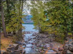 Jezioro, Lake McDonald, Stany Zjednoczone, Drzewa, Montana, Park Narodowy Glacier, Kamienie