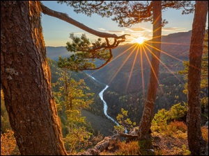 Rzeka, Las, Norwegia, Góry, Gmina Tokke, Promienie słońca, Drzewa