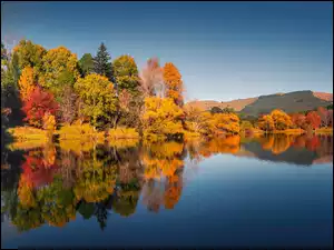 Lake Tutira, Jesień, Drzewa, Odbicie, Las, Jezioro, Nowa Zelandia, Pożółkłe