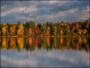 Jezioro, Jesień, Drzewa, Odbicie, Kolorowe, Las