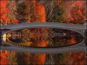 Odbicie, Nowy Jork, Drzewa, Bow Bridge, Jezioro, Central Park, Jesień, Stany Zjednoczone, Most