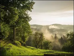 Ławki pod drzew przy ścieżce na wzgórzu i mgła nad górami