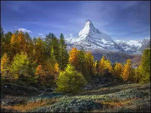 Alpy, Szczyt Matterhorn, Szwajcaria, Góry, Jesień, Las, Drzewa
