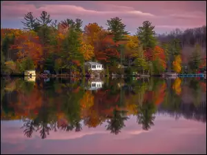Las, Dom, Kanada, Jezioro, Peterborough, Jesień, Drzewa