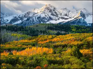Góry Skaliste, Lasy, Kolorado, Stany Zjednoczone, Jesień
