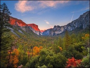 Las, Kalifornia, Drzewa, Dolina, Jesień, Park Narodowy Yosemite, Góry, Stany Zjednoczone, Yosemite Valley