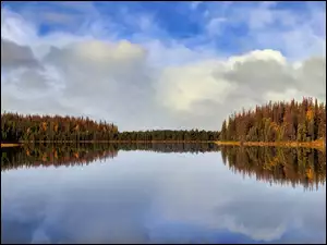 Jezioro, Twelvemile Lake, Stany Zjednoczone, Jesień, Alaska, Odbicie, Drzewa
