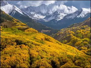 Chmury, Kolorado, Jesień, Las, Drzewa, Góry Elk, Góra, Stany Zjednoczone, Capitol Peak