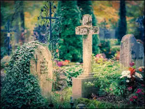 Nagrobki i kwiaty na cmentarzu