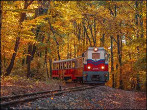 Pociąg, Tory, Jesień, Las, Drzewa
