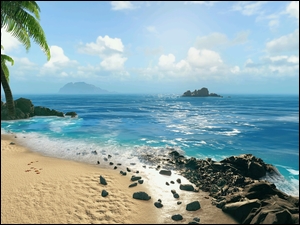 Palmy i skały na plaży z gry Swords of Legends Online