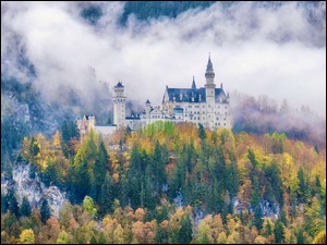 Bawaria, Zamek, Jesień, Niemcy, Mgła, Lasy, Neuschwanstein