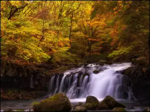Wodospad spadający po skale w jesiennym lesie