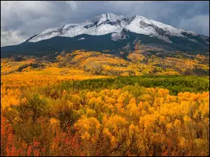 Lasy, Stany Zjednoczone, Kebler Pass, Drzewa, Kolorado, Góry, Jesień, Przełęcz