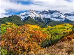 Wzgórza, Góry, Kolorowe, Kolorado, San Juan Mountains, Jesień, Stany Zjednoczone, Drzewa