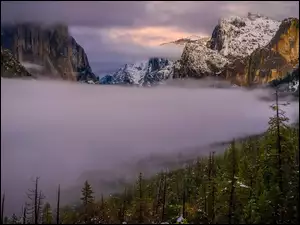 Mgła, Góry, Park Narodowy Yosemite, Stany Zjednoczone, Drzewa, Kalifornia
