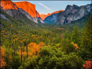 Las, Kalifornia, Drzewa, Yosemite Valley, Jesień, Park Narodowy Yosemite, Góry, Stany Zjednoczone, Dolina