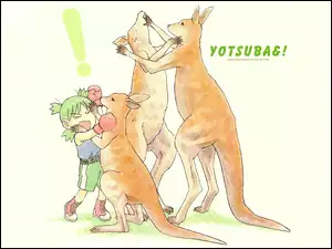 kangur, Yotsubato