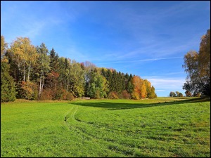 Ścieżka przez zieloną łąkę pod jesiennym lasem