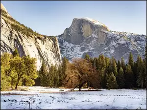 Stany Zjednoczone, Góry, Kalifornia, Szczyt, Half Dome, Śnieg, Zima, Drzewa, Park Narodowy Yosemite