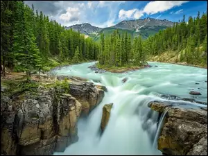 Kanada, Skały, Alberta, Sunwapta, Park Narodowy Jasper, Wodospad, Sunwapta Falls, Drzewa, Rzeka