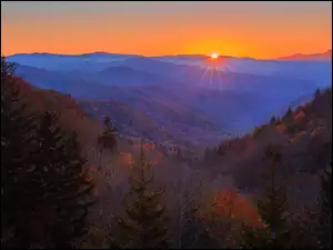 Stan Karolina Północna, Park Narodowy Great Smoky Mountains, Las, Stany Zjednoczone, Wschód słońca, Great Smoky Mountains, Góry