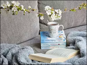 Na kanapie książki z kubkiem herbaty w domowych pieleszach