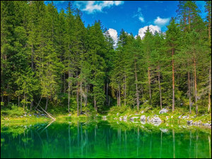 Drzewa odbijające sie w jeziorze Eibsee w Alpach Bawarskich