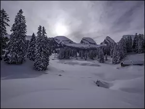 Góry, Dom, Śnieg, Zima, Drzewa