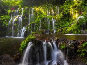 Banyu Wana Amertha Falls, Indonezja, Las tropikalny, Roślinność, Bali, Wodospad, Skały, Okręg Buleleng
